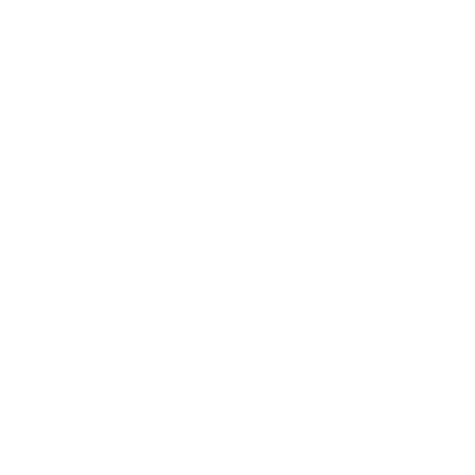 Logo-instagram-png-blanc