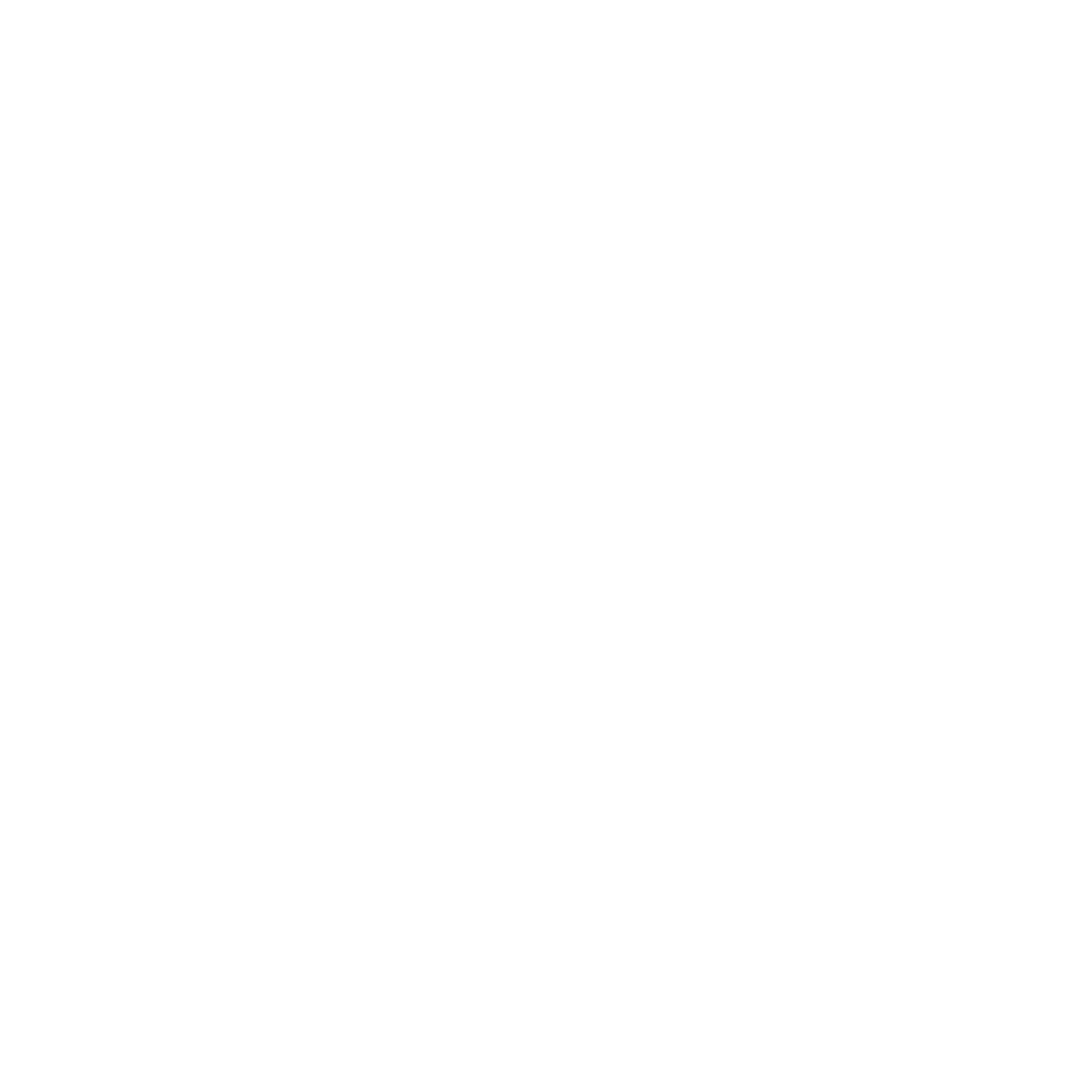 linkedin-logo-blanc