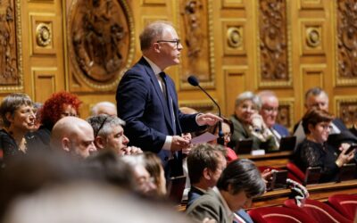Question au gouvernement : soutien aux artisans