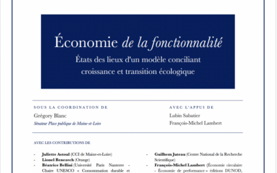 Économie de la fonctionnalité : états des lieux d&rsquo;un modèle conciliant croissance et transition écologique