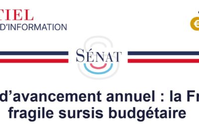 Plan de stabilité à moyen terme : la France navigue à vue